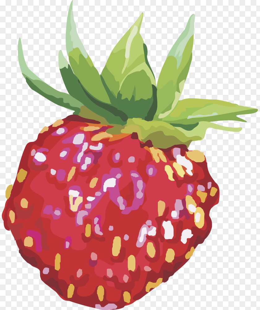 Vector Strawberry Fruit Euclidean PNG