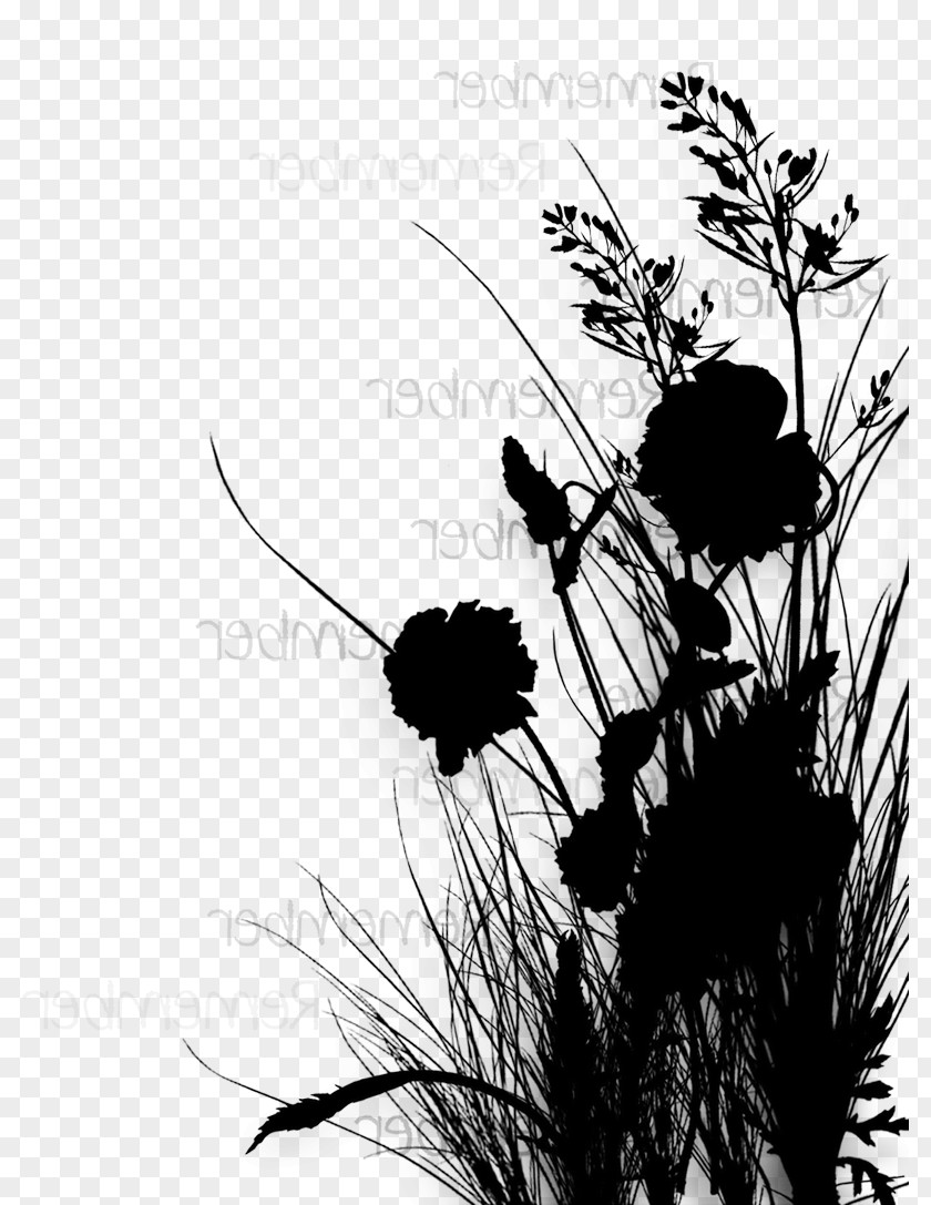 Insect Flowering Plant Silhouette Membrane PNG