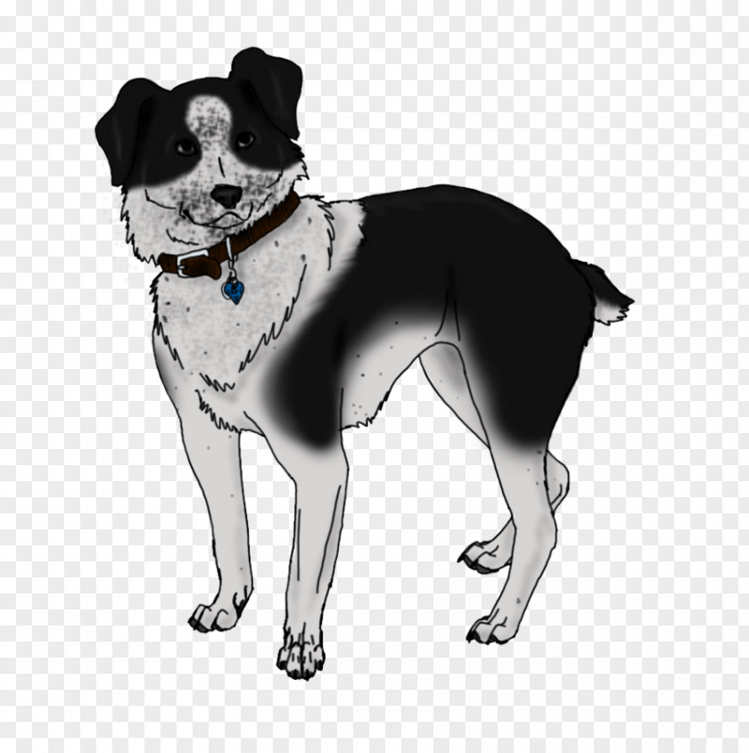 Dog Breed Companion Leash Snout PNG