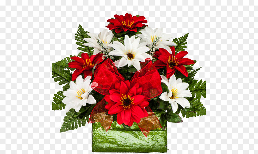 Flower Transvaal Daisy Cut Flowers Red Rose PNG