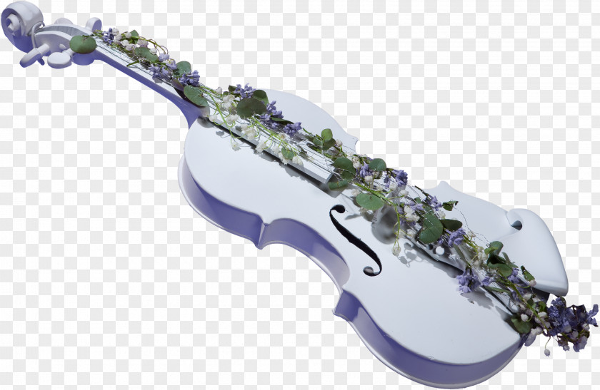 Foliage Violin Stock Photography Musical Instrument PNG