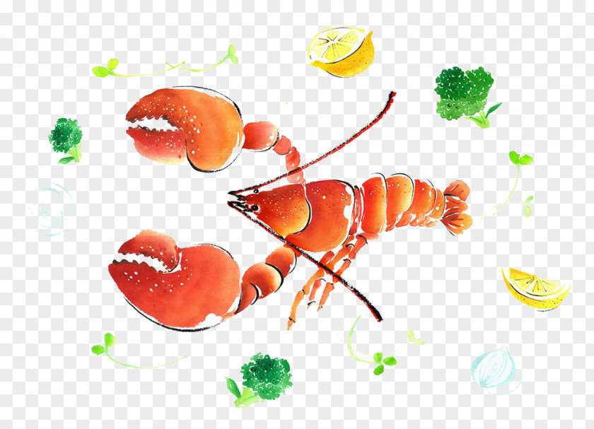 Lobster Watercolor Painting Illustration PNG