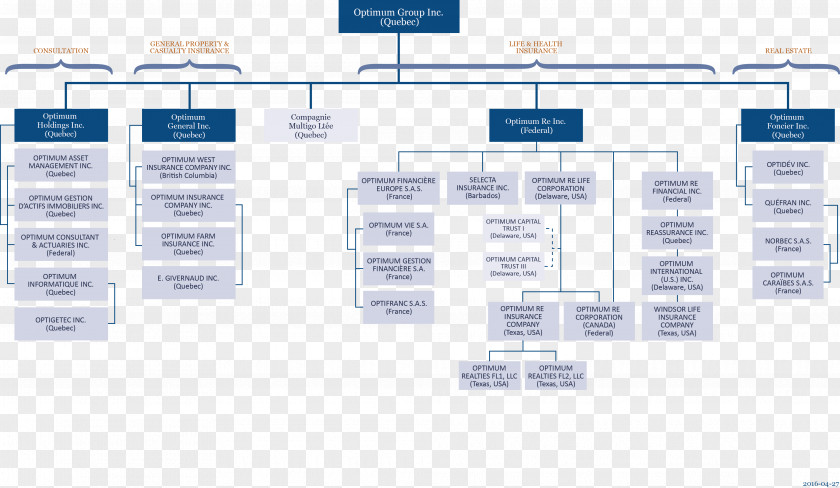 Organization Structure Organizational Chart Business Service PNG