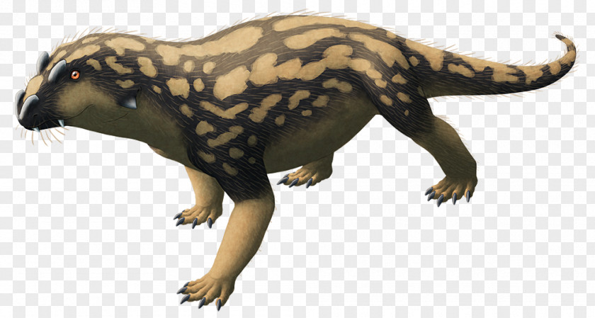 Pentaceratops Mustelids Tetraceratops Triceratops Synapsid Therapsid PNG