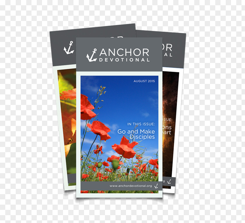 Photographic Paper Banner Photography PNG