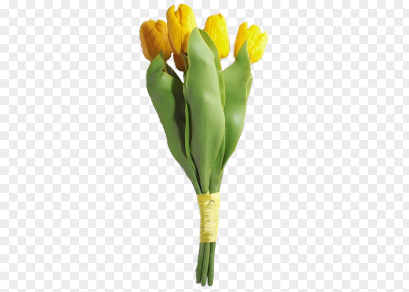 Tulip Flower Delivery Cut Flowers Plant Stem PNG