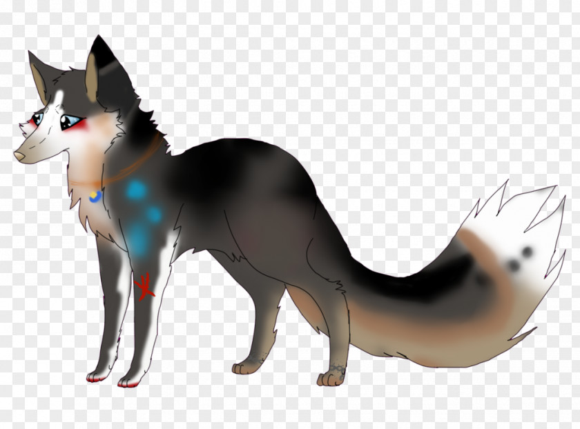 Wolf Creative Whiskers Dog Breed Red Fox Cat PNG