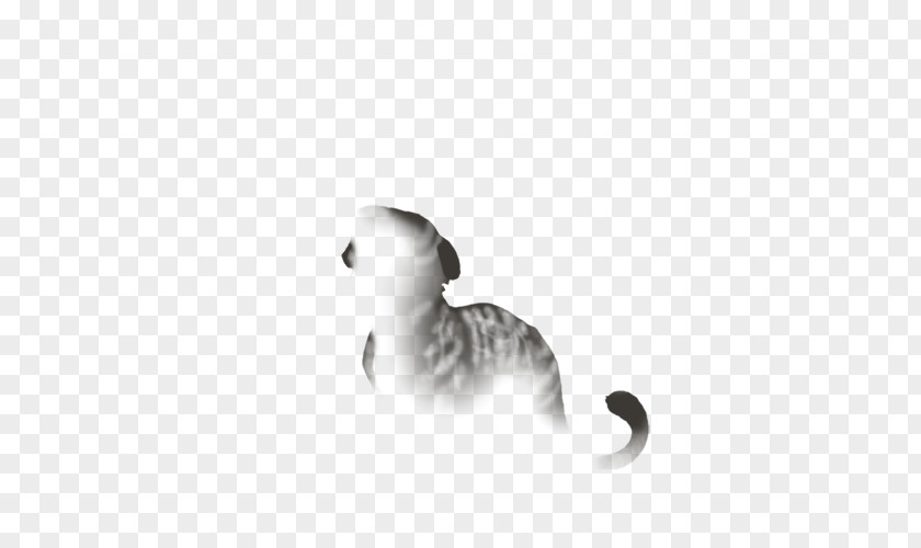 Cat Tail White Black M Font PNG