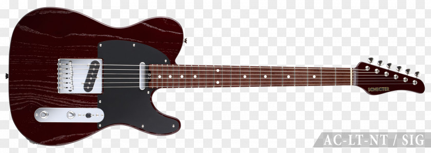 Electric Guitar Fender Telecaster Gibson Les Paul Studio SG Special Michael Kelly Guitars PNG