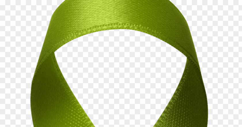 Green Ribbons Tambourine Shoe PNG