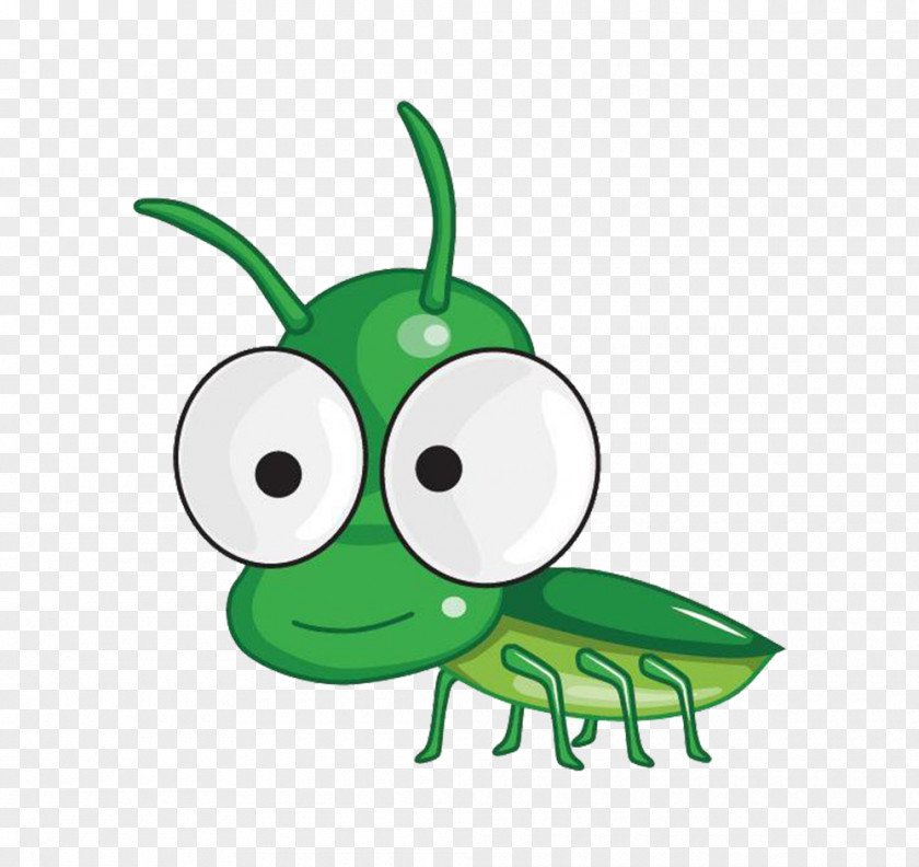 Insect Mosquito Cuteness Cartoon PNG