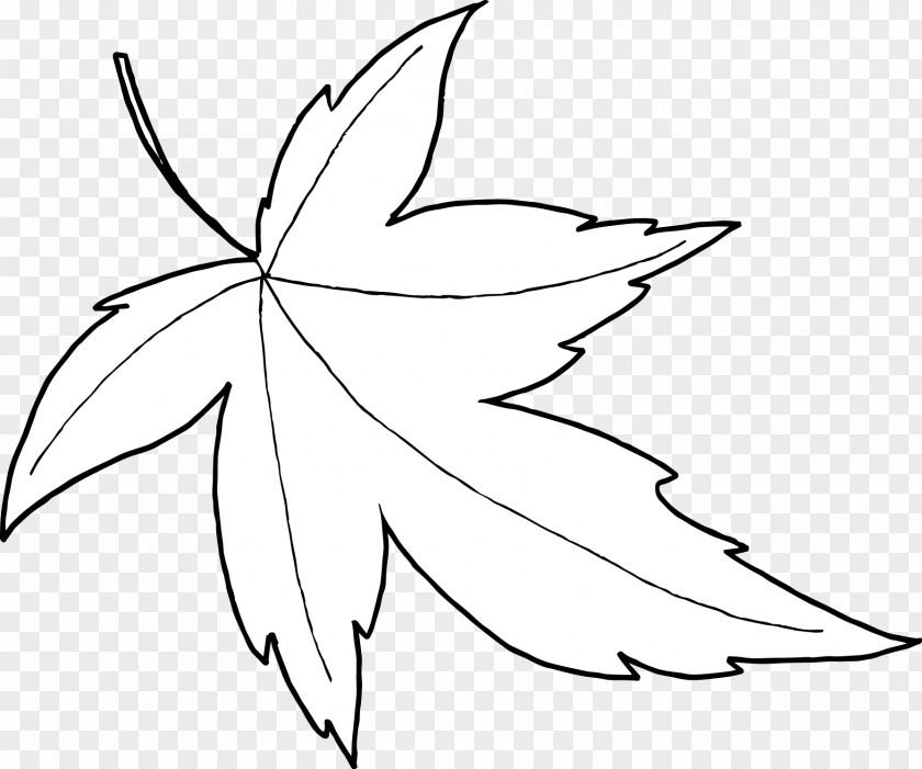 Leaf Doodle Twig Plant Stem Clip Art PNG