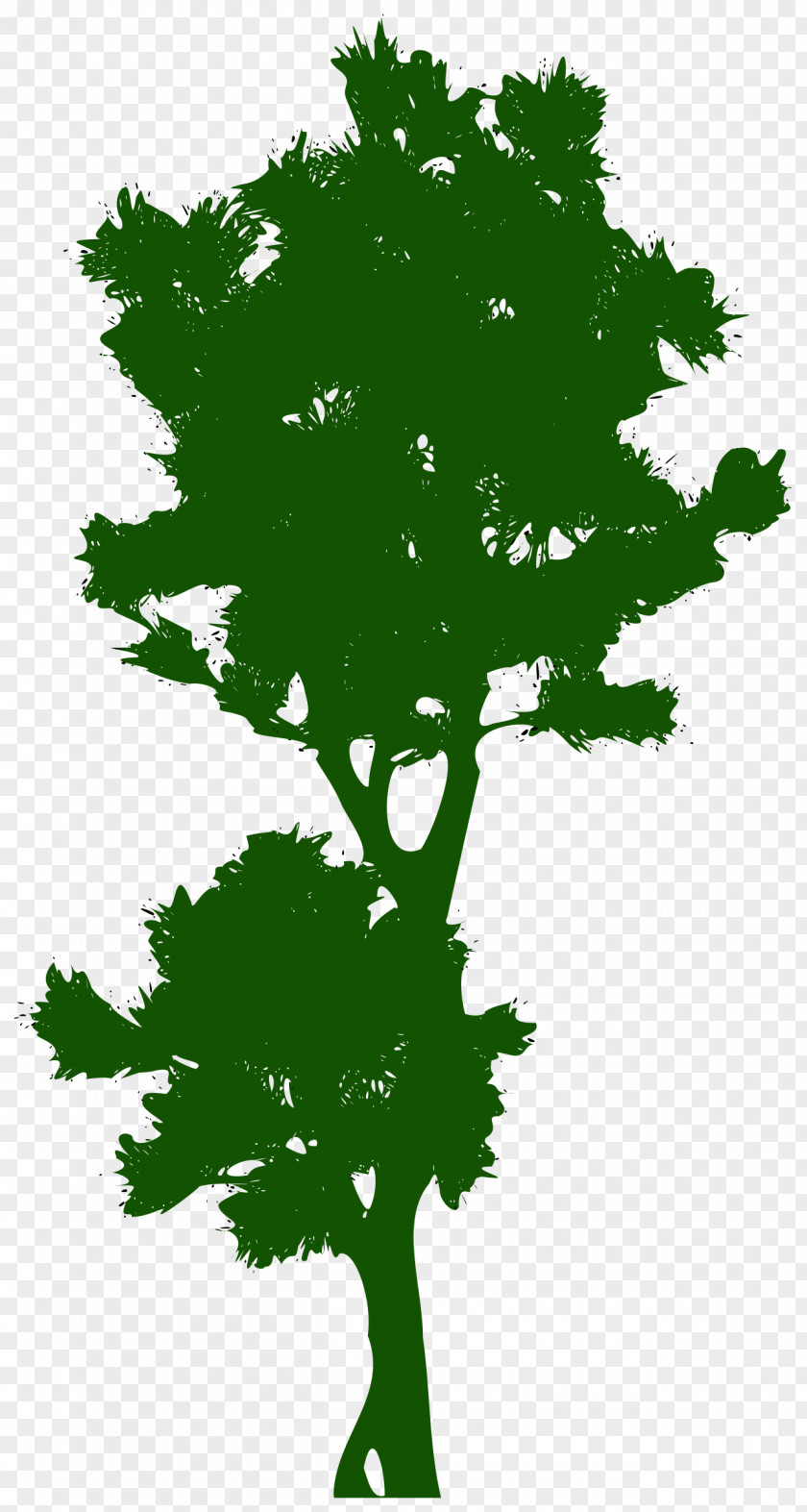 Tall Tree Public Domain Clip Art PNG
