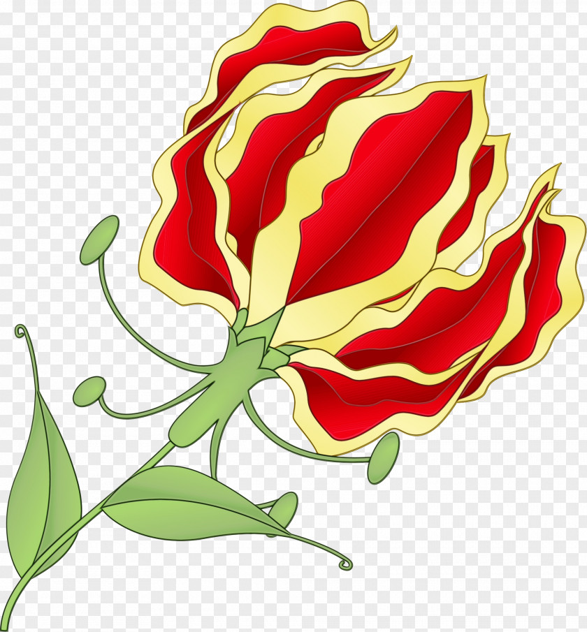 Tulip Fire Lily Flower Cartoon PNG