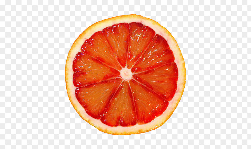 Earthwork Pennant Blood Orange Image Sticker Fruit PNG