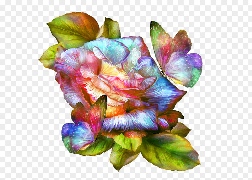 Rainbow-colored Roses Rainbow Rose Art PNG