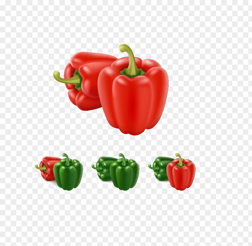 Vector Vegetables Bell Pepper Paprika Illustration PNG