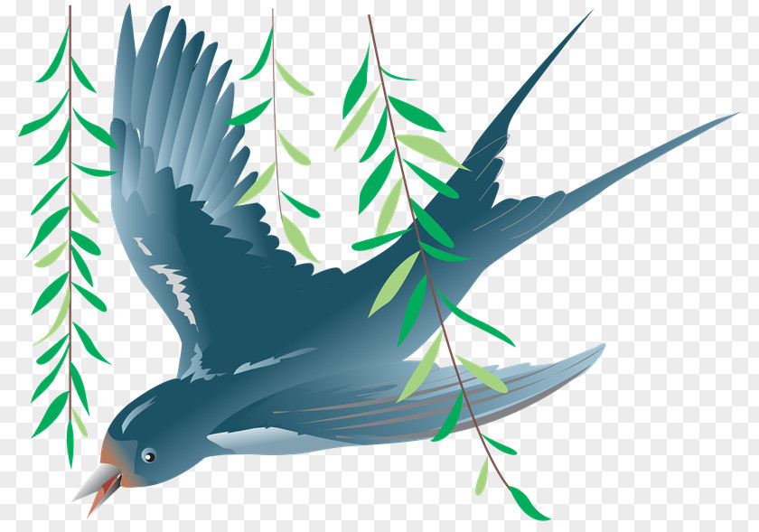 Aves Swallow Clip Art PNG