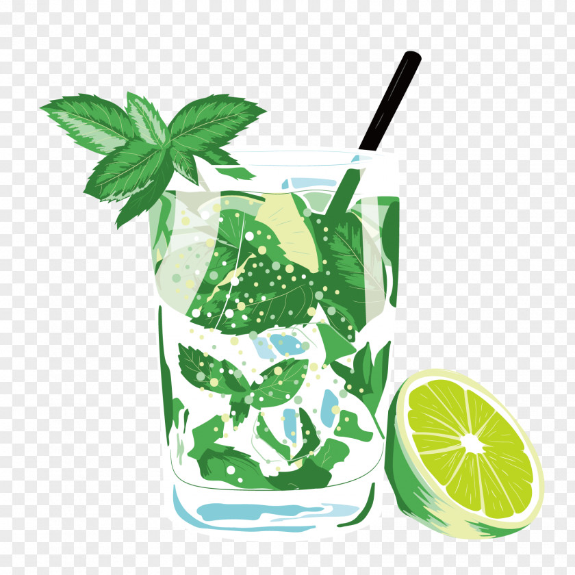 Vector Lemonade Mojito Juice Drink Poster PNG