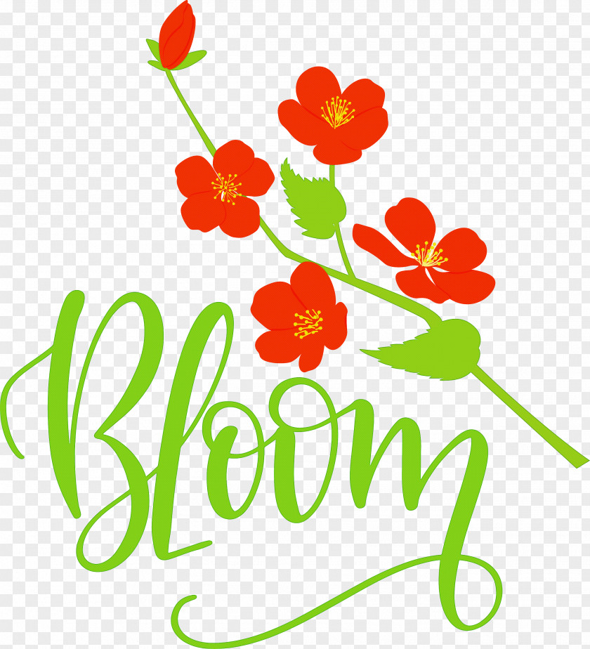 Bloom Spring PNG