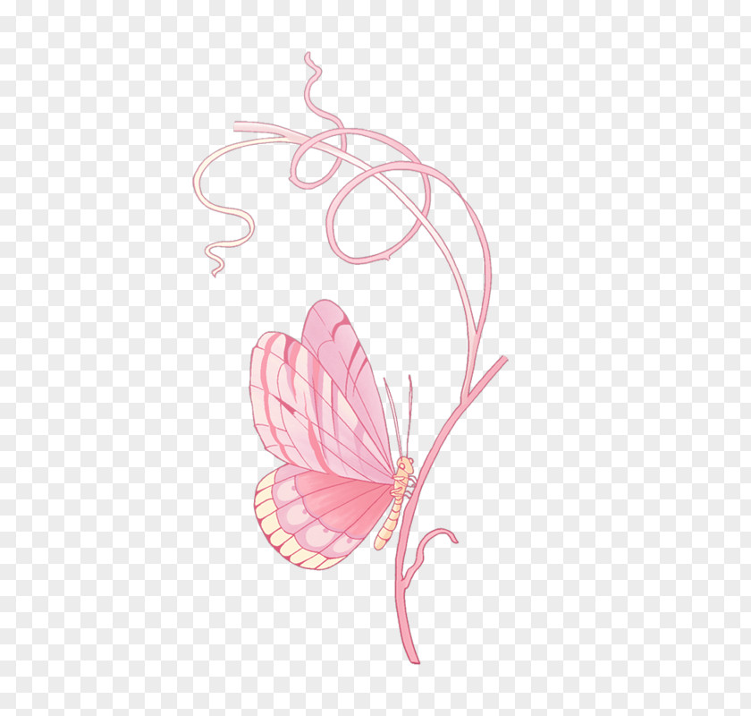 Butterfly Insect Pink PNG
