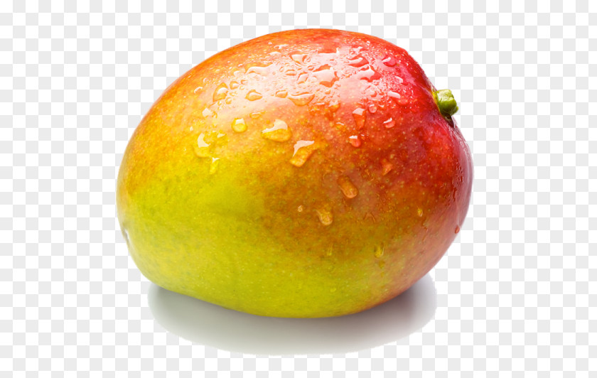 Juice Mango Clip Art Mangifera Indica PNG