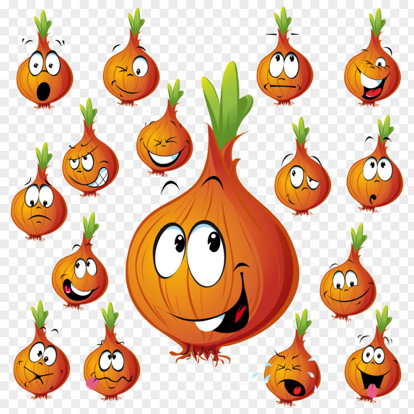 Onion French Soup Cartoon Royalty-free PNG