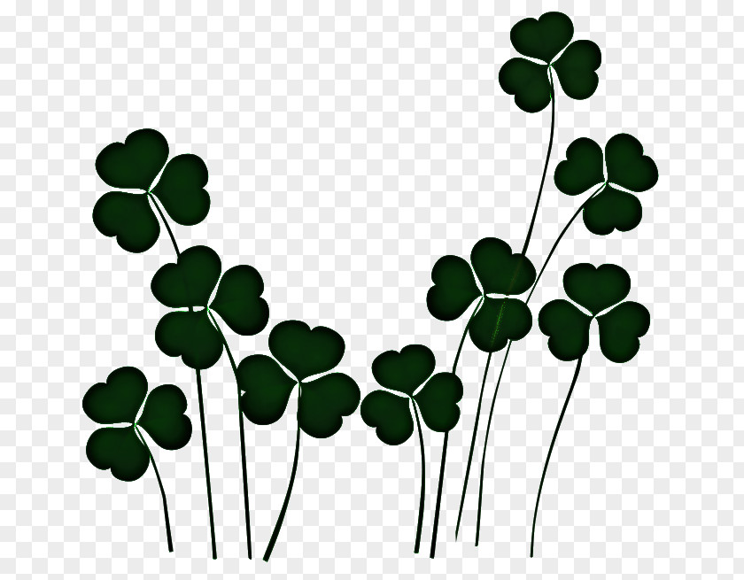 Plant Stem Symbol St Patricks Day PNG