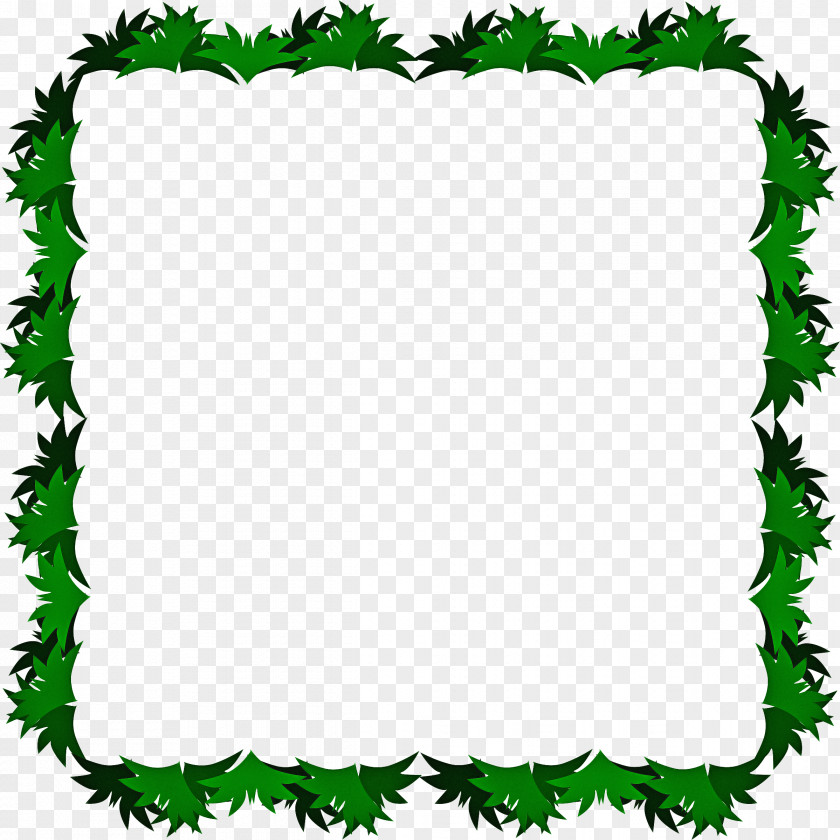 Rectangle Plant Leaf Drawing PNG