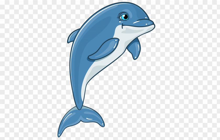 3d Dolphins Dolphin Clip Art PNG