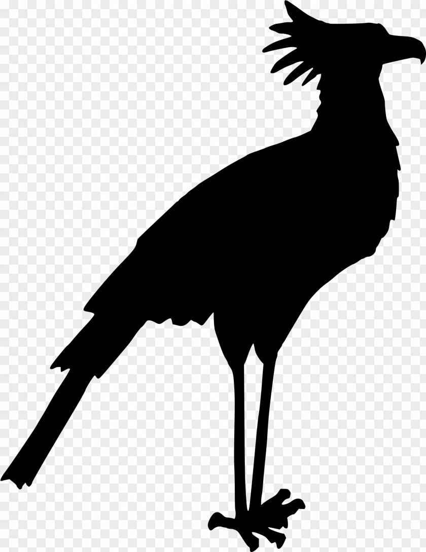 Birds Silhouette Bird Drawing Clip Art PNG