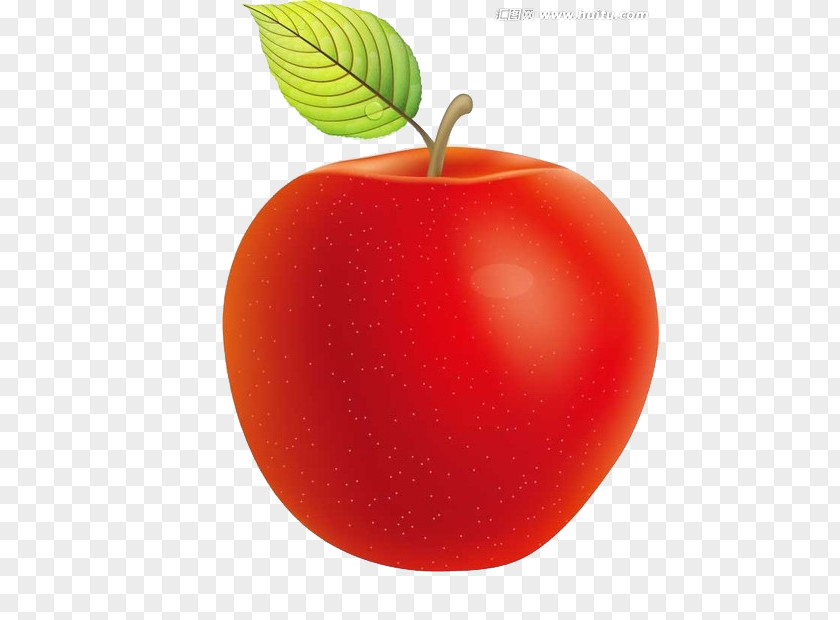 Cartoon Red Apple Food Clip Art PNG