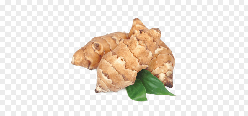 Jerusalemartichokes Jerusalem Artichoke Inulin Food Carbohydrate PNG