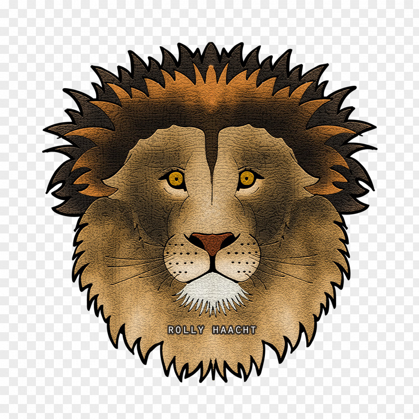 Lion Cat Whiskers Snout Terrestrial Animal PNG