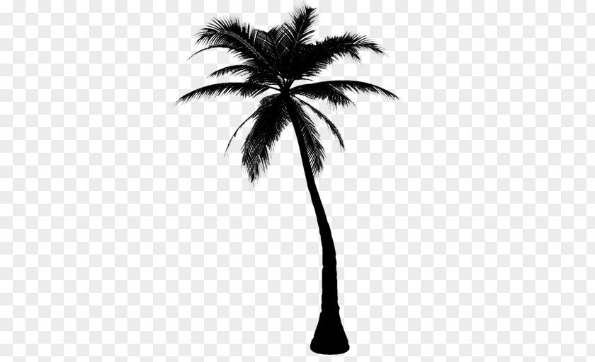 Palm Trees Clip Art Coconut PNG