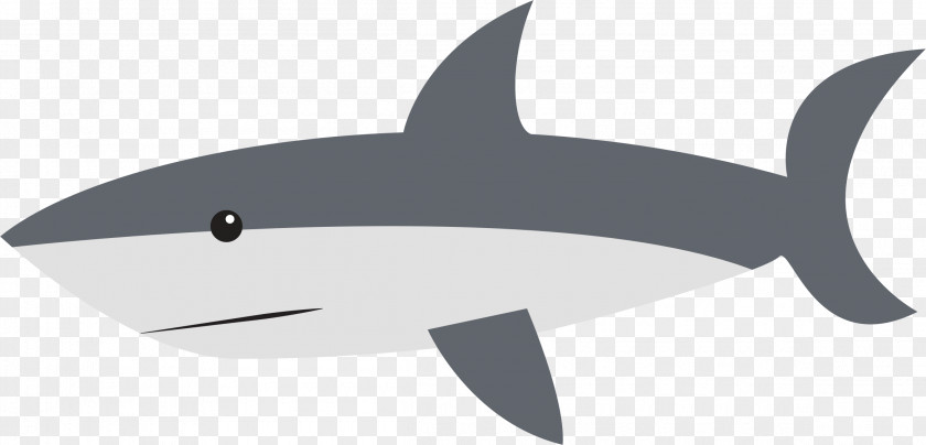 Sharks Shark Cartoon Drawing Clip Art PNG