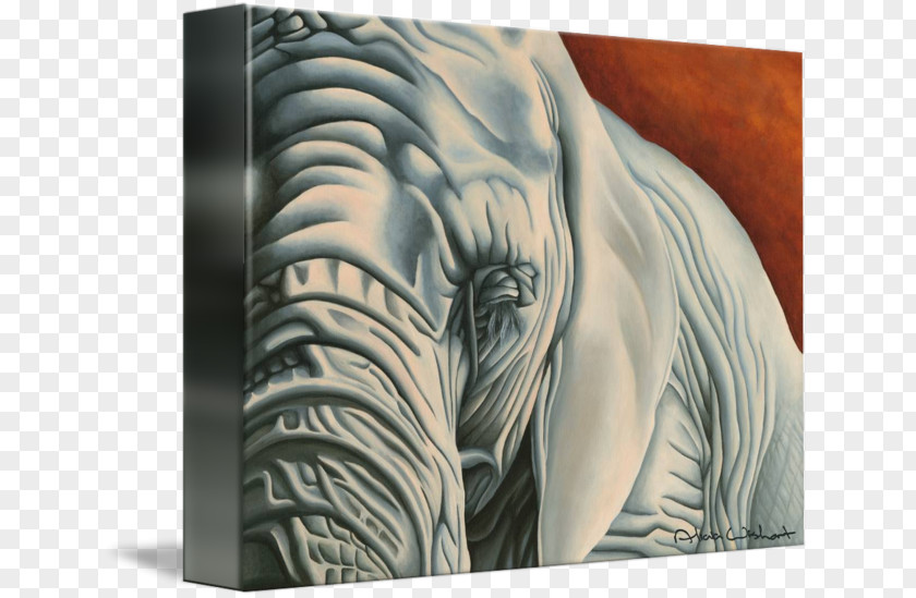Tiger Gallery Wrap Canvas Modern Art PNG