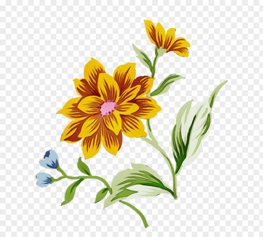 Wildflower Daisy Family Watercolor Floral Background PNG