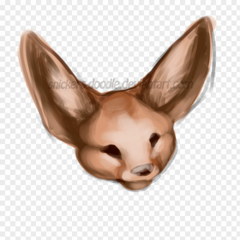 Ear Wildlife Snout PNG