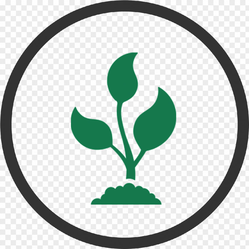 Emblem Flower Green Leaf Logo PNG