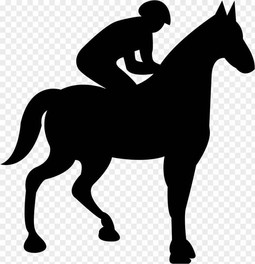 Horse Jinete Jockey Clip Art PNG