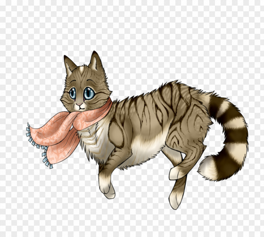 Kitten Whiskers Wildcat Domestic Short-haired Cat PNG