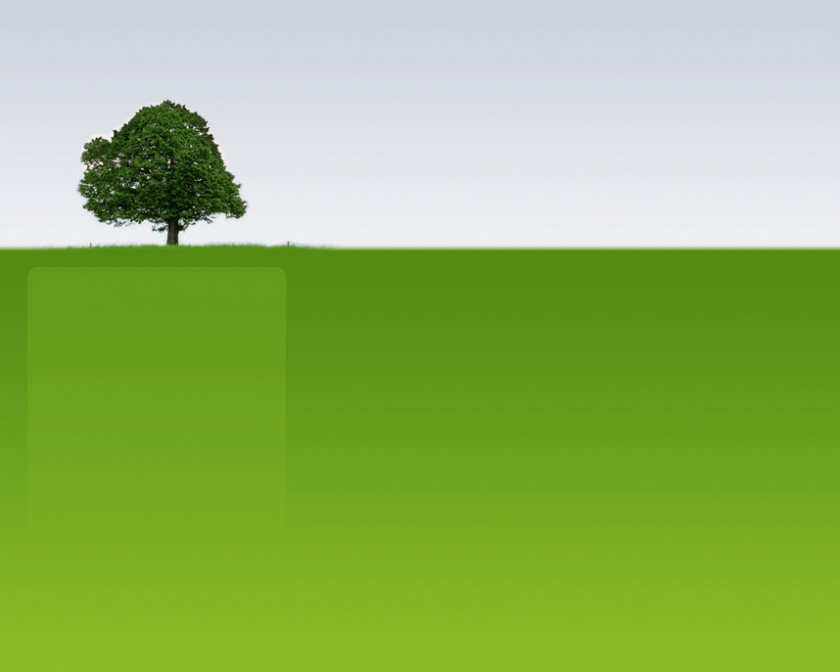 Landscaping Design Cliparts Green Brand Tree Wallpaper PNG