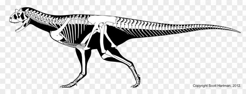 Taurus Carnotaurus Tyrannosaurus Xenotarsosaurus Majungasaurus Late Cretaceous PNG