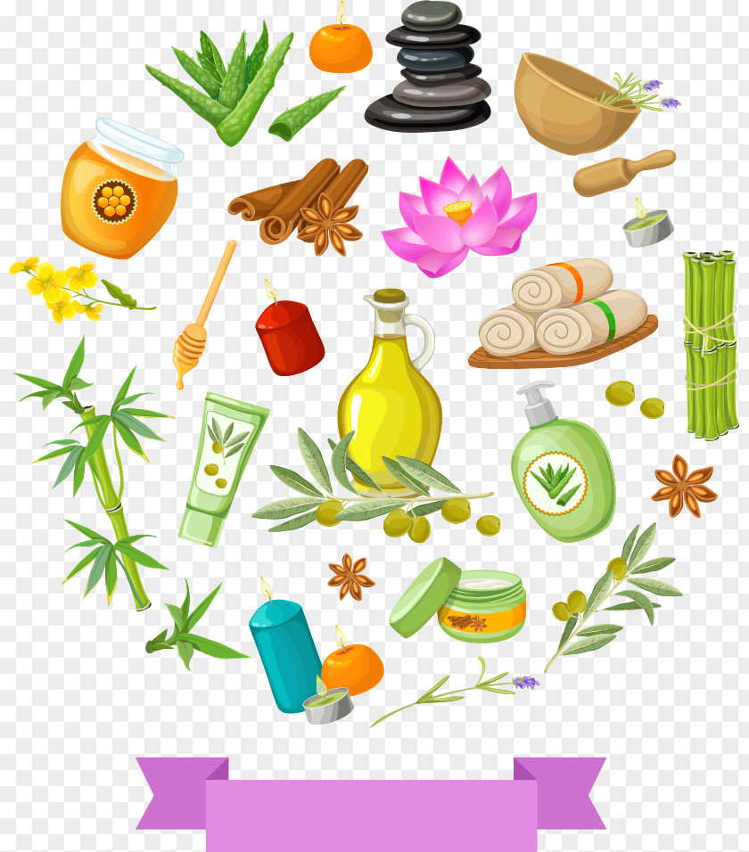 Vector Olive Oil And Skincare Spa Illustration PNG