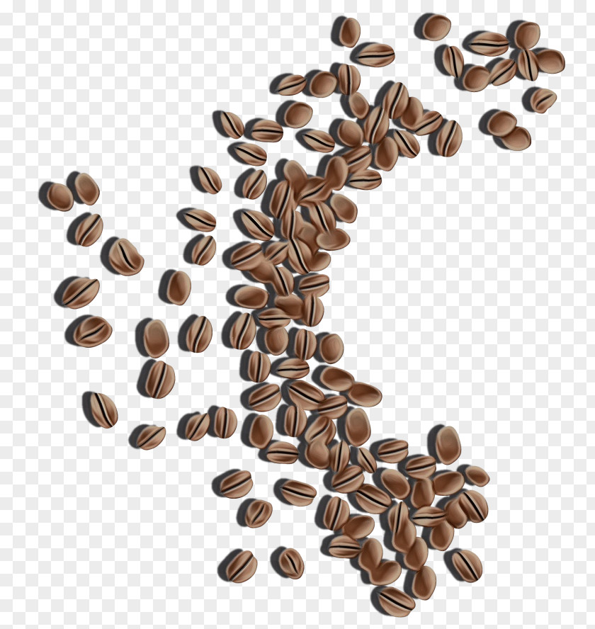 Caffeine Java Coffee Watercolor Plant PNG