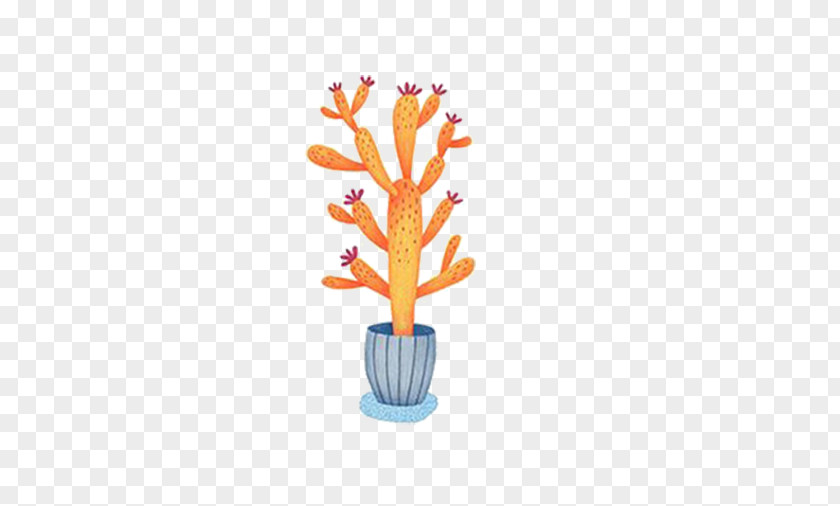 Orange Cactus Cartoon Photography U6cbbu6108u7cfb Illustration PNG