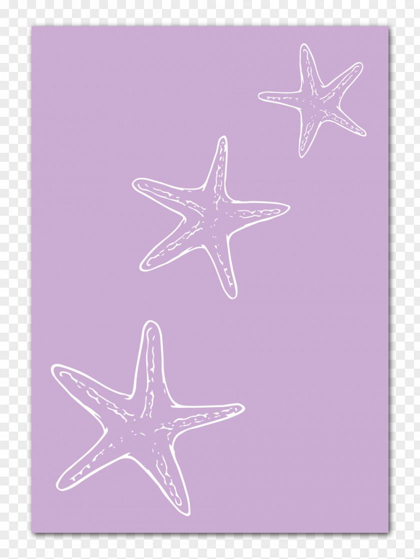 Starfish Line Pink M PNG