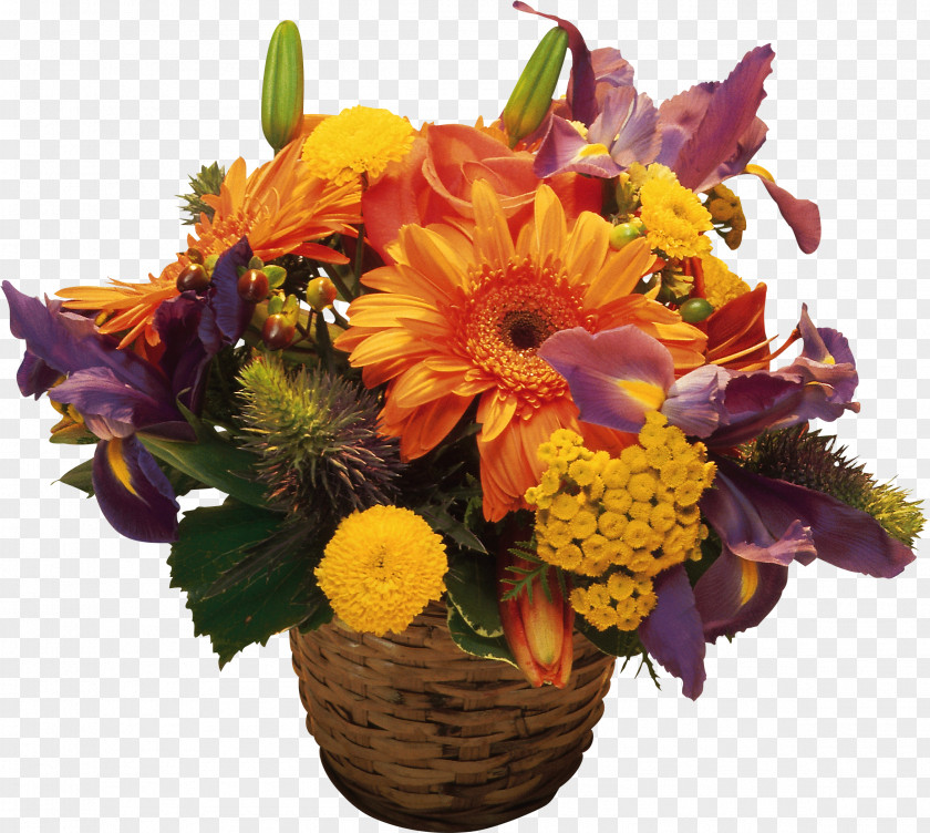 Thanksgiving Cincinnati Flower Show Desktop Wallpaper Transvaal Daisy PNG