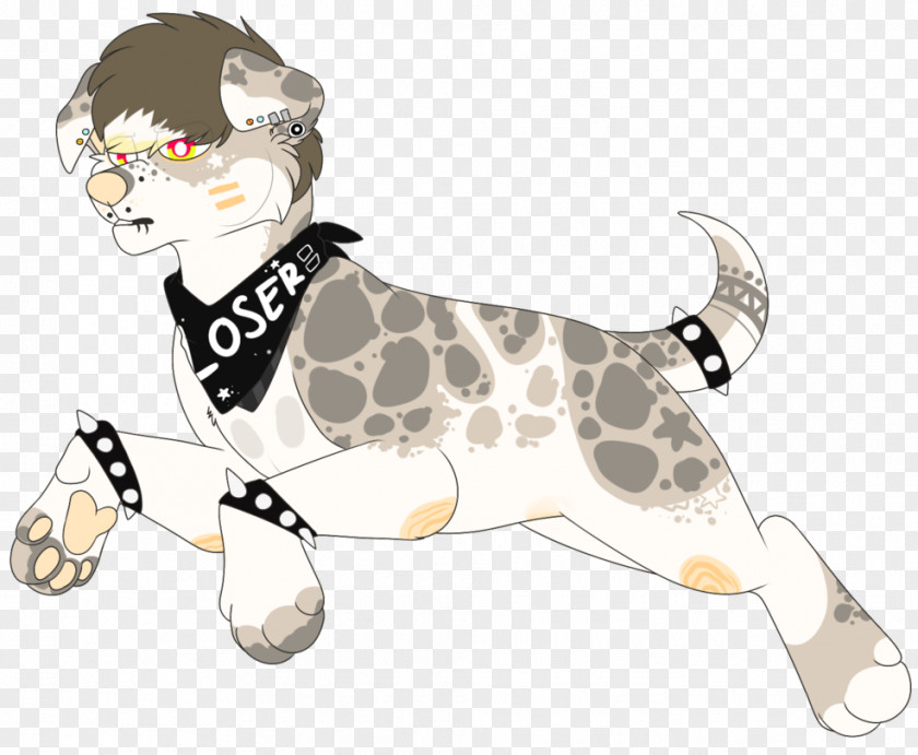 Cat Dalmatian Dog Puppy Non-sporting Group Mammal PNG